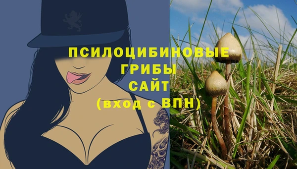 МДМА Белокуриха