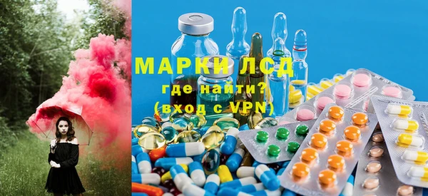 шишки Баксан