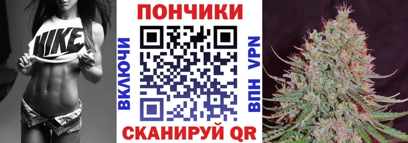 Бошки Шишки марихуана Дагестанские Огни